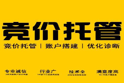 竞价推广中的品牌建设：某知名品牌的成功经验分享